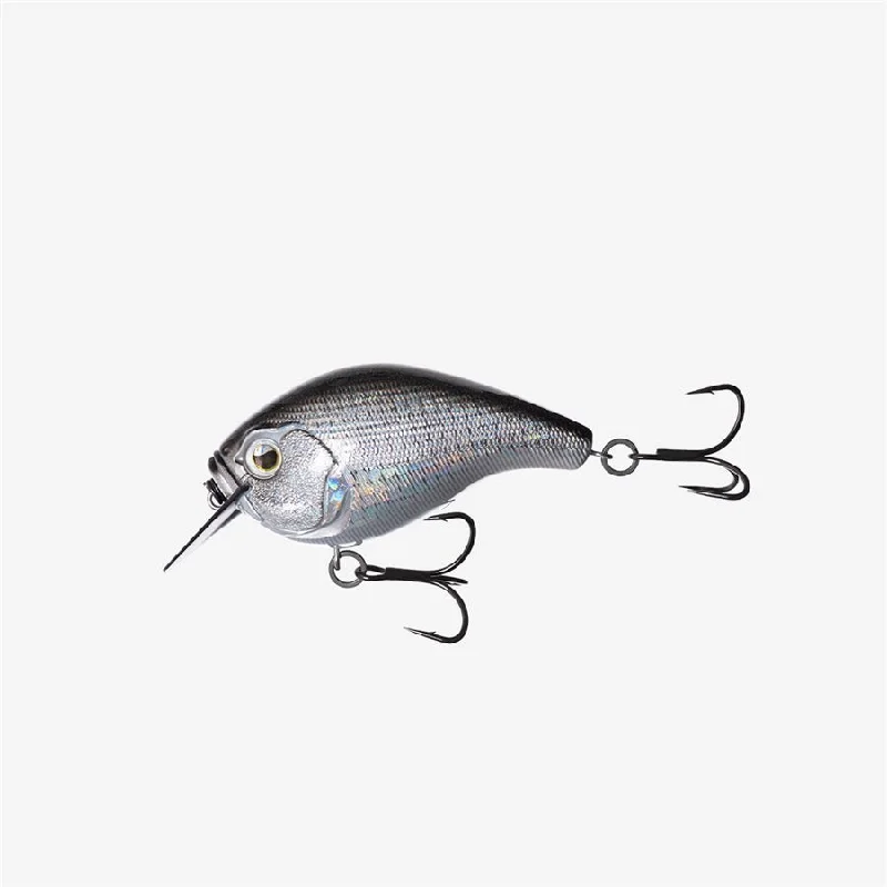 Disco Shad