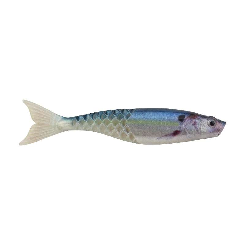 HD Gizzard Shad