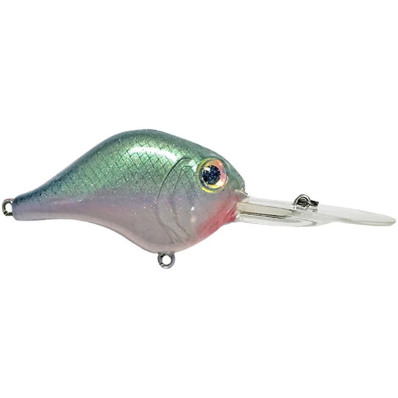 Green Gizzard Shad