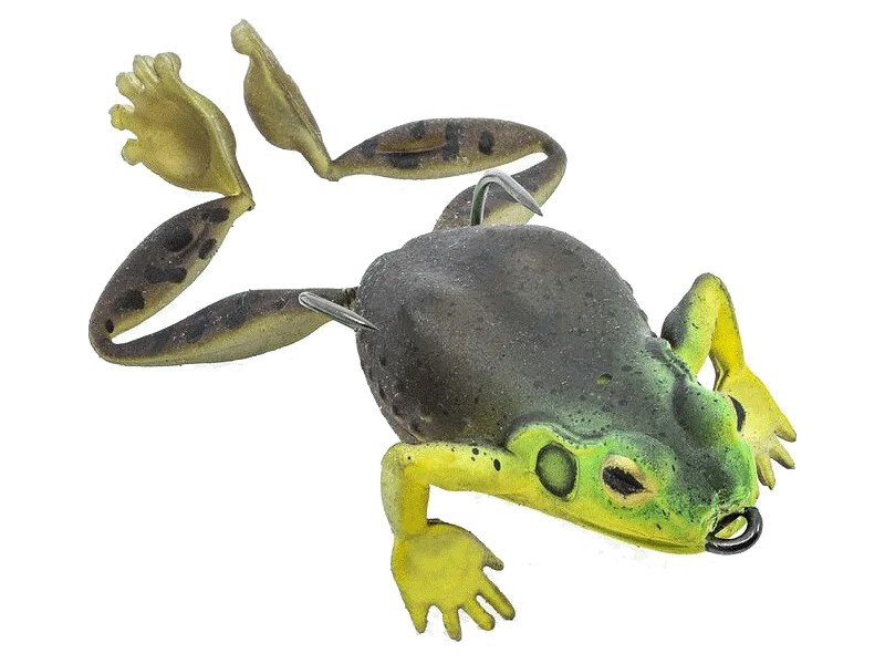 Bull Frog