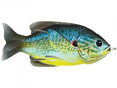 Blue Yellow Pumpkinseed