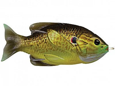 Bronze Pumpkinseed