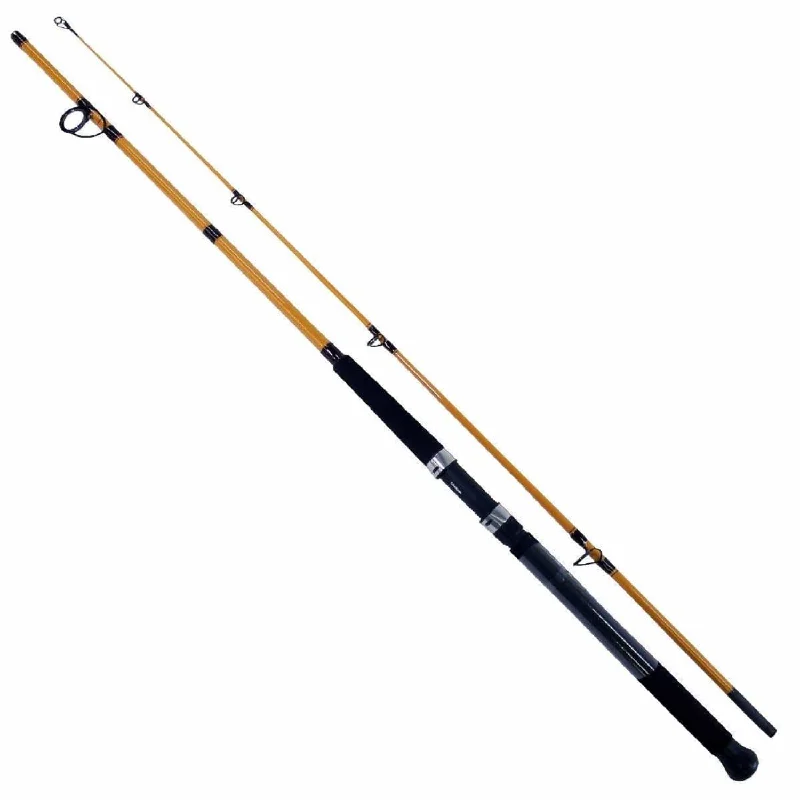 Daiwa FT Surf Rod 2 Pieces Line Wt