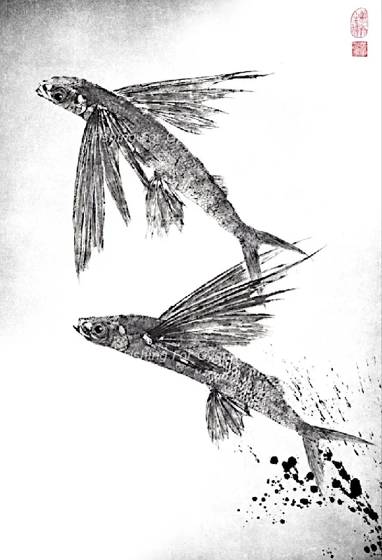 Flying Fish Gyotaku Artwork Print by Dwight Hwang