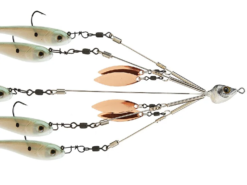 Picasso Bait Ball School-E-Rig